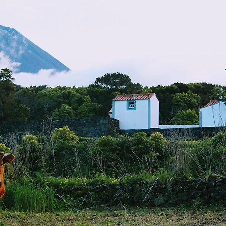 Casa Do Paim Villa Sao Roque do Pico Ngoại thất bức ảnh