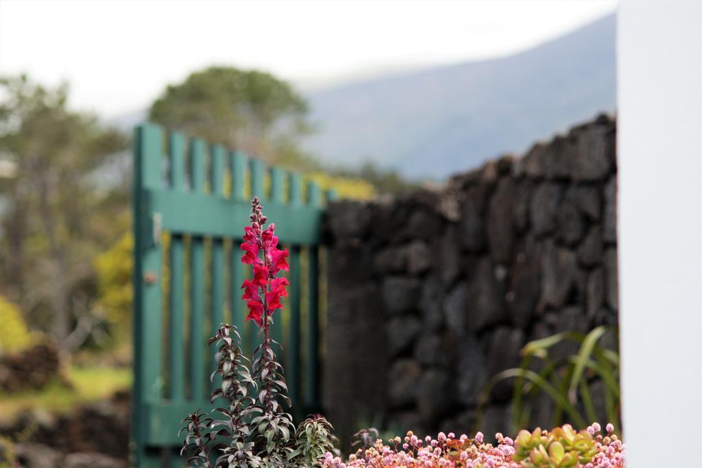 Casa Do Paim Villa Sao Roque do Pico Ngoại thất bức ảnh