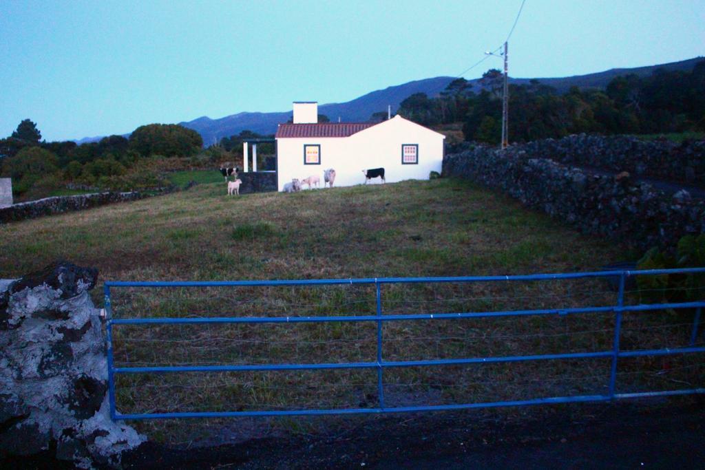 Casa Do Paim Villa Sao Roque do Pico Ngoại thất bức ảnh