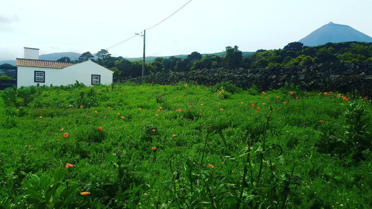 Casa Do Paim Villa Sao Roque do Pico Ngoại thất bức ảnh