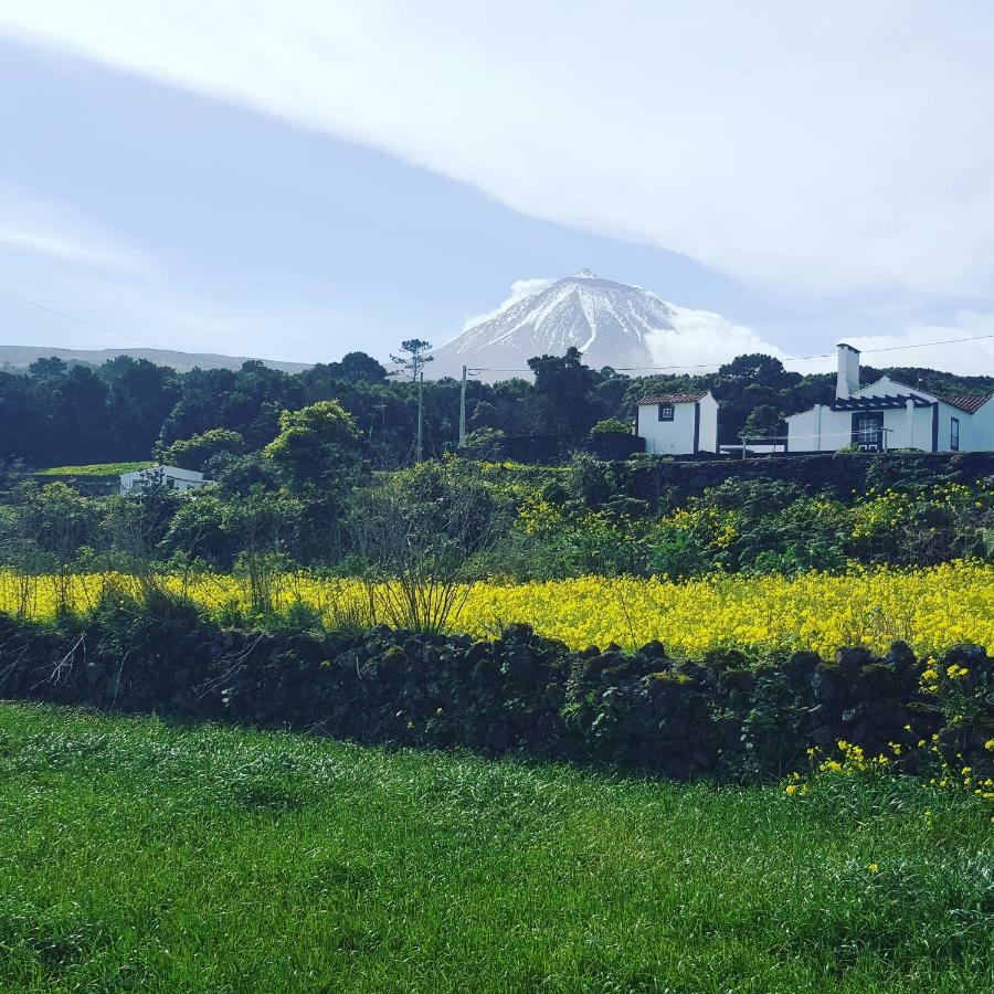 Casa Do Paim Villa Sao Roque do Pico Ngoại thất bức ảnh